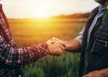 Tims Lovše zanesljive in kakovostne storitve